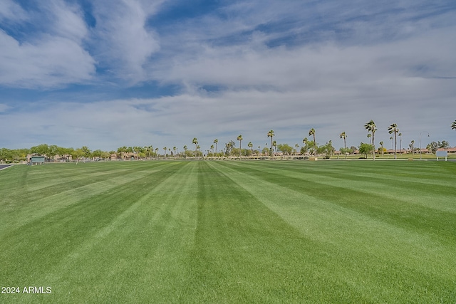 view of community with a yard