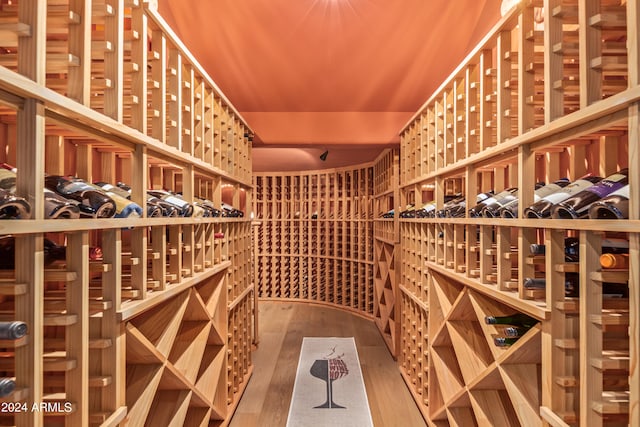 wine area featuring wood-type flooring