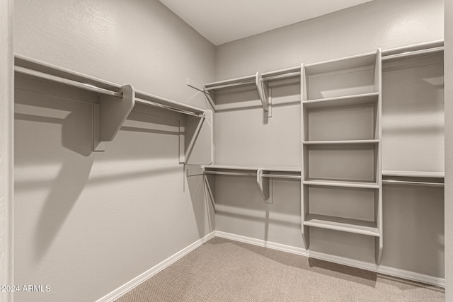 walk in closet featuring carpet floors