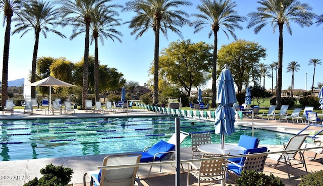 view of pool featuring a patio