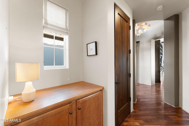 hall featuring dark wood finished floors