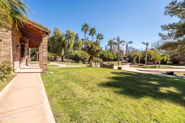 25509 S Lime Dr, Queen Creek, AZ 85142 - view of yard