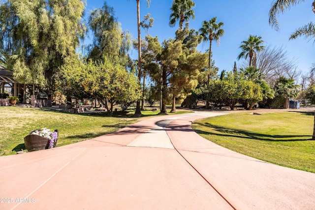 25509 S Lime Dr, Queen Creek, AZ 85142 - view of home's community featuring a yard