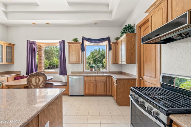 25509 S Lime Dr, Queen Creek, AZ 85142 - kitchen with light tile patterned floors, under cabinet range hood, a tray ceiling, stainless steel appliances, and a sink