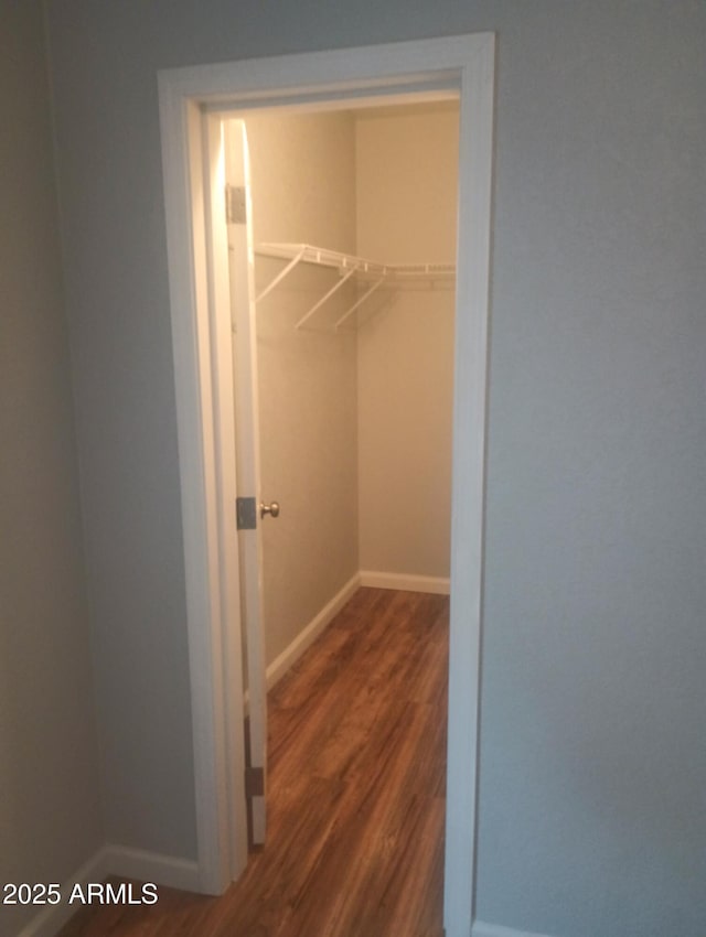 walk in closet featuring wood-type flooring