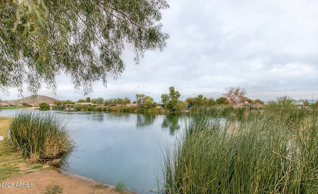 1950 E Dust Devil Dr, San Tan Valley, AZ 85143 - water view