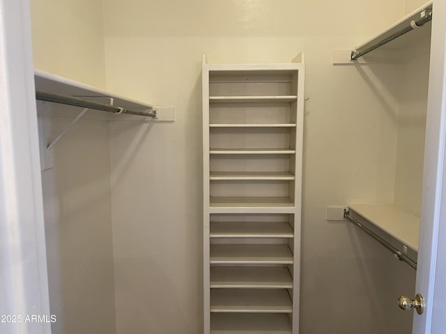 view of walk in closet