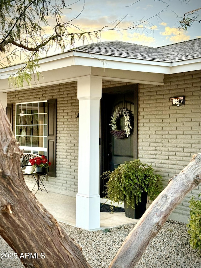 doorway to property featuring brick siding and roof with shingles