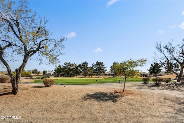 surrounding community featuring a yard