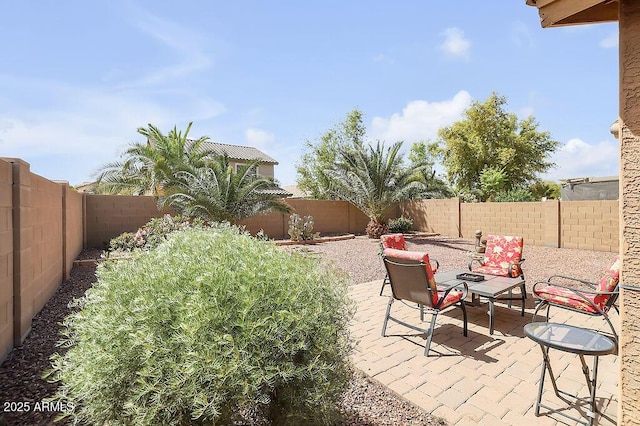 view of yard featuring a patio and a fenced backyard