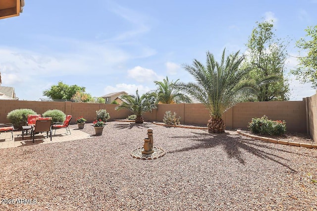 view of yard with a patio and a fenced backyard