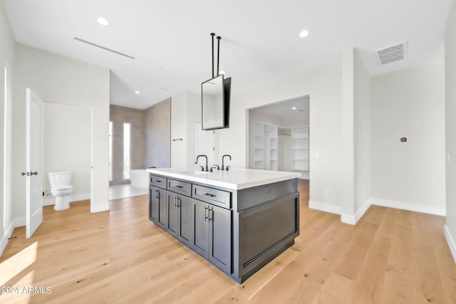 kitchen with a center island with sink, light wood-type flooring, and sink