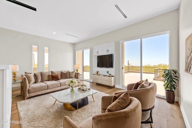 living room featuring light hardwood / wood-style flooring and a healthy amount of sunlight