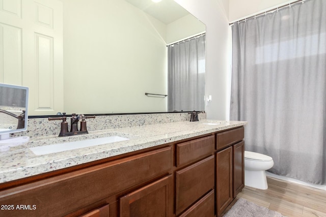 full bathroom featuring double vanity, curtained shower, toilet, and a sink