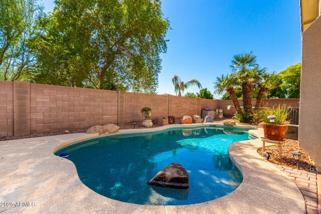 10209 W Jessie Ln, Peoria, AZ 85383 - view of swimming pool with a fenced backyard