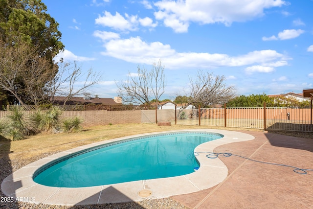 view of swimming pool with a patio area, a fenced backyard, and a fenced in pool