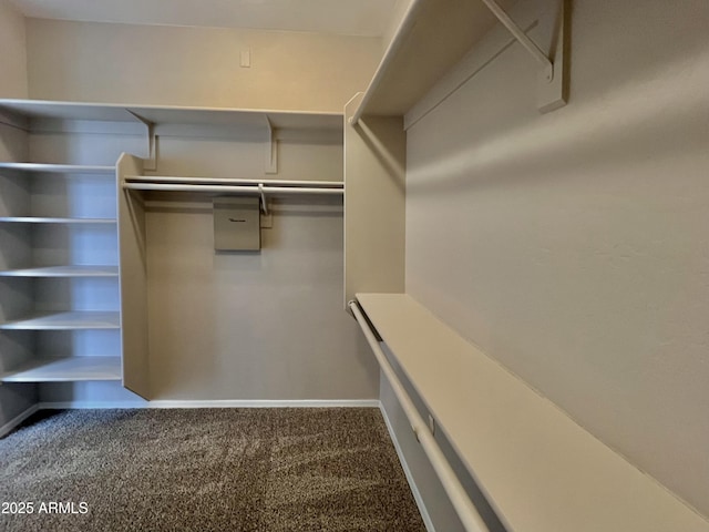 3421 W Warren Dr, Anthem, AZ 85086 - spacious closet with carpet floors