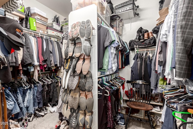 spacious closet with carpet flooring