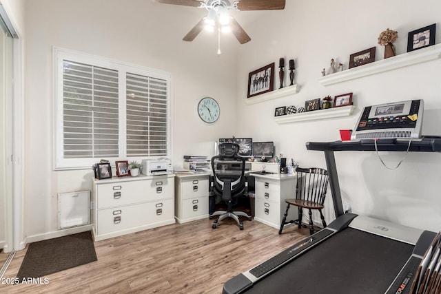office area featuring a ceiling fan and light wood-type flooring