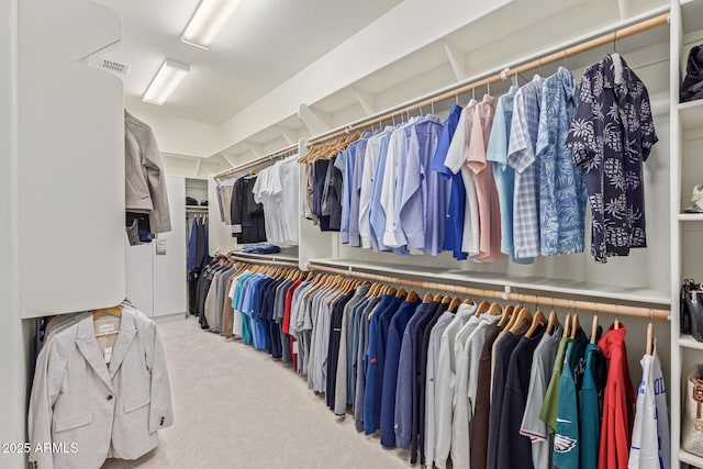 3400 S Whetstone Pl, Chandler, AZ 85286 - walk in closet featuring carpet