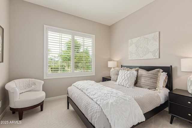 3400 S Whetstone Pl, Chandler, AZ 85286 - bedroom featuring baseboards and carpet floors