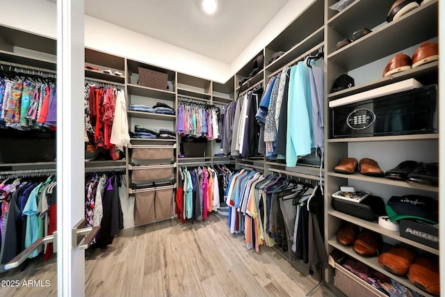 spacious closet featuring wood-type flooring