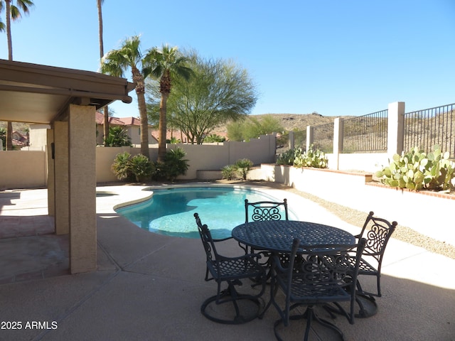 view of swimming pool with a patio