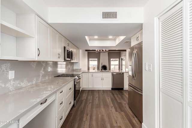 kitchen with appliances with stainless steel finishes, dark hardwood / wood-style flooring, a raised ceiling, white cabinets, and backsplash