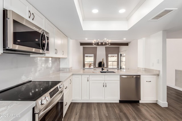 kitchen with sink, white cabinetry, dark hardwood / wood-style floors, a raised ceiling, and stainless steel appliances