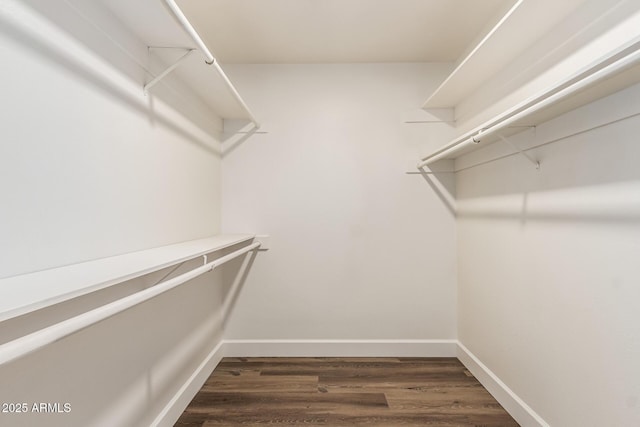 walk in closet with dark hardwood / wood-style floors