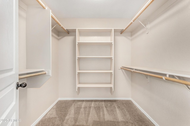 4151 Big Bend St, Sierra Vista, AZ 85650 - spacious closet with carpet floors