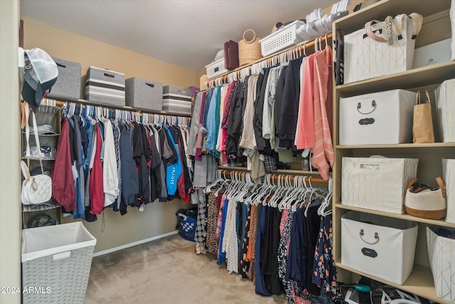 walk in closet featuring carpet flooring