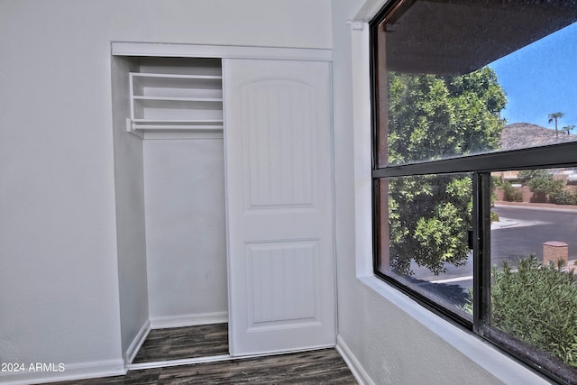 view of closet