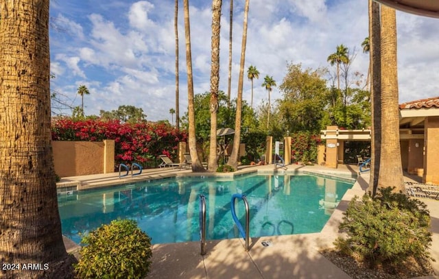 view of swimming pool