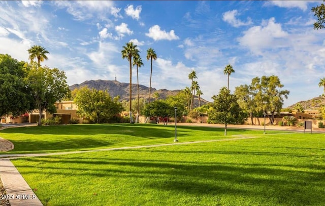 view of community featuring a mountain view and a yard