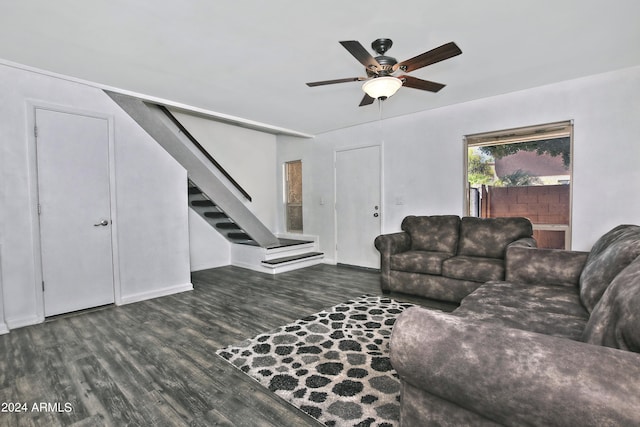 living room with ceiling fan and dark hardwood / wood-style flooring