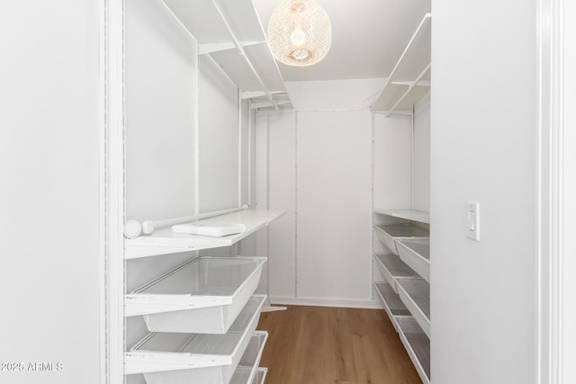 spacious closet featuring hardwood / wood-style floors