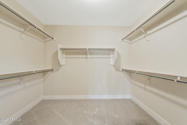 spacious closet featuring carpet