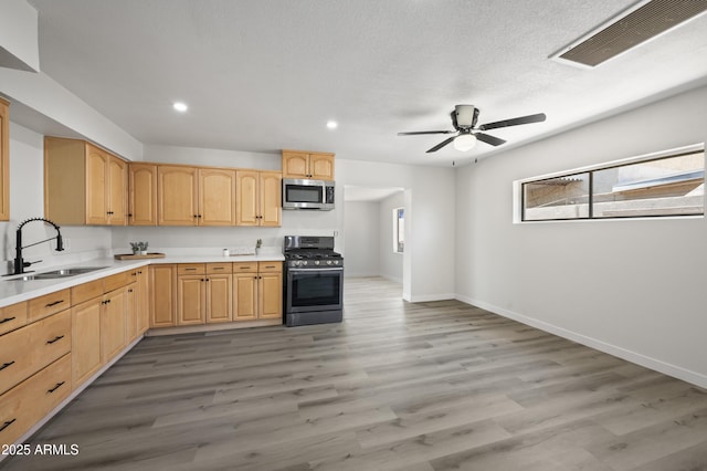 1427 W 6th Dr, Mesa, AZ 85202 - kitchen with appliances with stainless steel finishes, light brown cabinets, ceiling fan, light wood-style floors, and light countertops