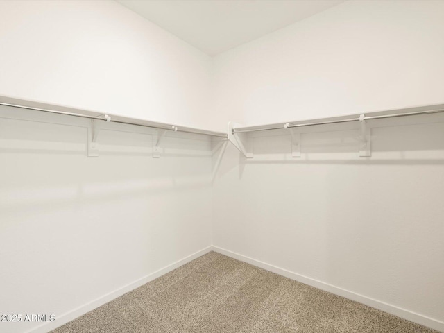 walk in closet featuring light carpet
