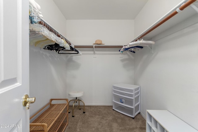 spacious closet with carpet flooring