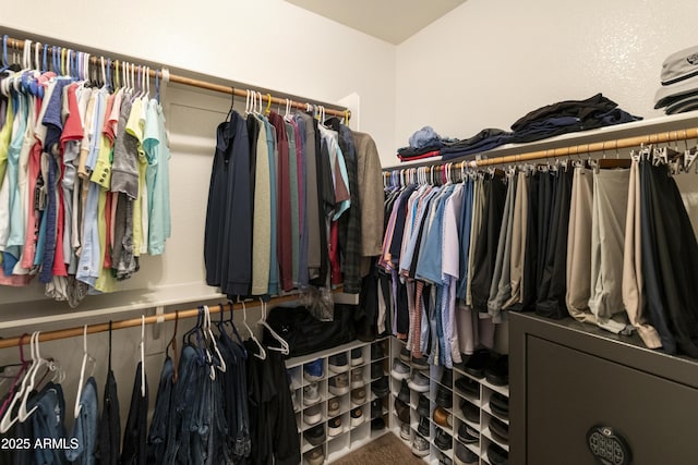 view of walk in closet