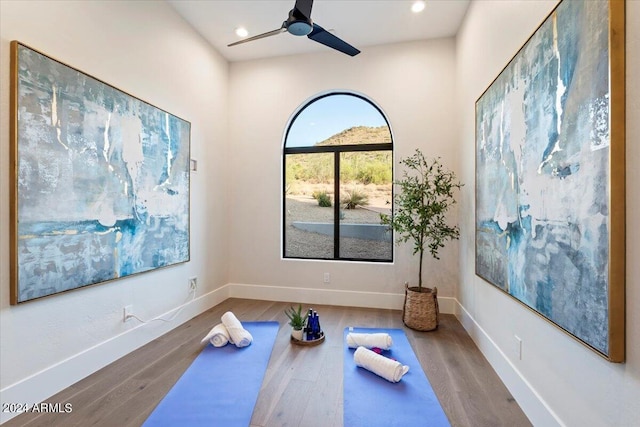 exercise room with wood-type flooring and ceiling fan