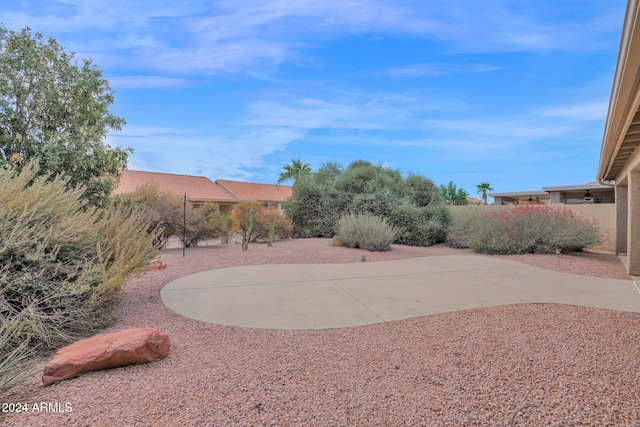 view of yard featuring a patio area