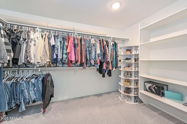 walk in closet with carpet flooring