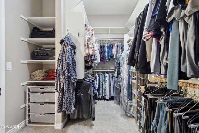 walk in closet with carpet