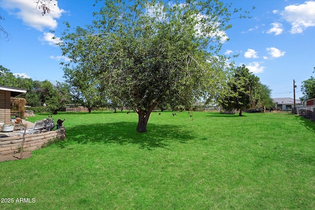 23265 S Via Del Arroyo, Queen Creek, AZ 85142 - view of yard