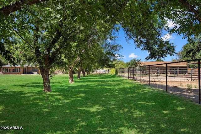 23265 S Via Del Arroyo, Queen Creek, AZ 85142 - view of green lawn