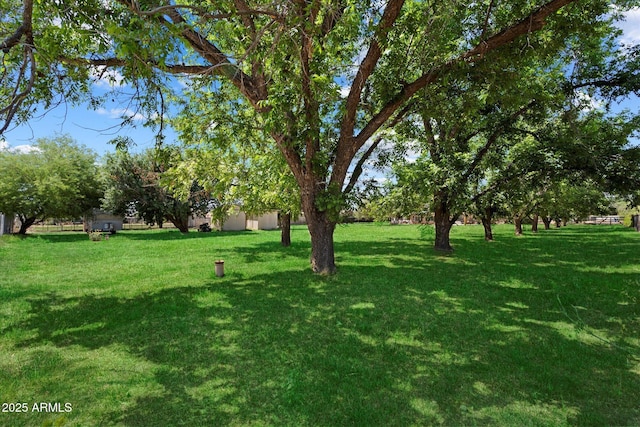 23265 S Via Del Arroyo, Queen Creek, AZ 85142 - view of grassy yard