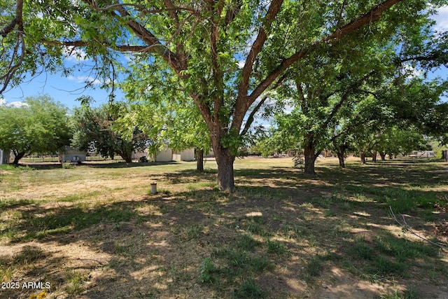 23265 S Via Del Arroyo, Queen Creek, AZ 85142 - view of yard